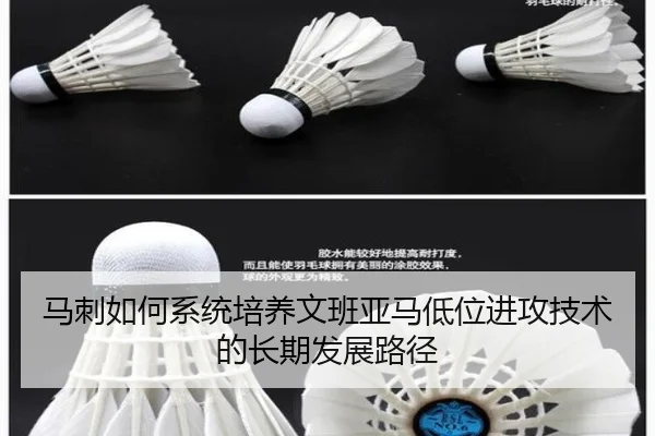 马刺如何系统培养文班亚马低位进攻技术的长期发展路径
